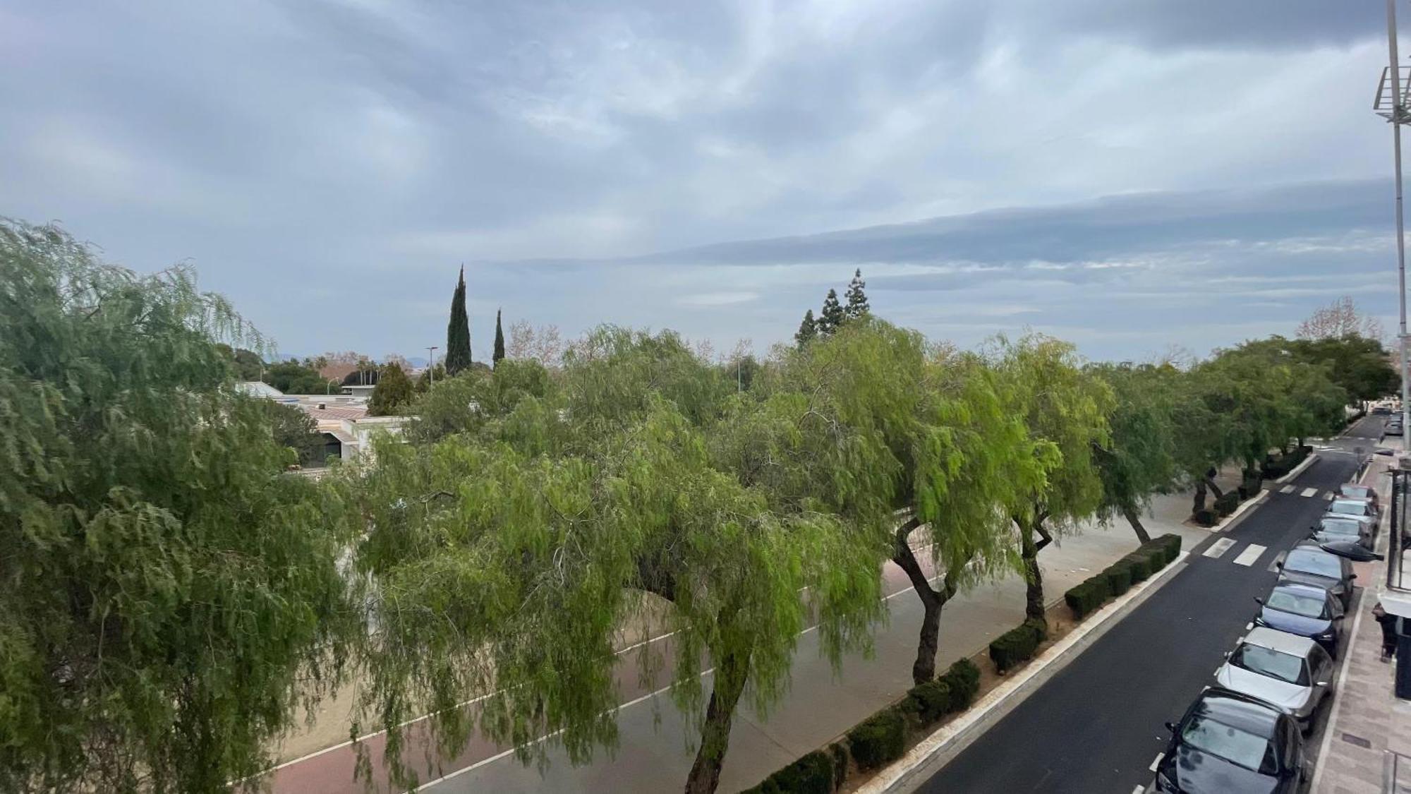 Apartamento El Castell 阿拉卡斯 外观 照片